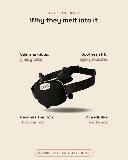 What the Dozy massager does for pets