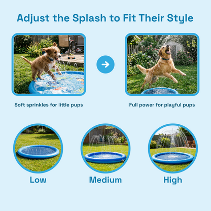 Barkyard Sprinkler Splash Pad