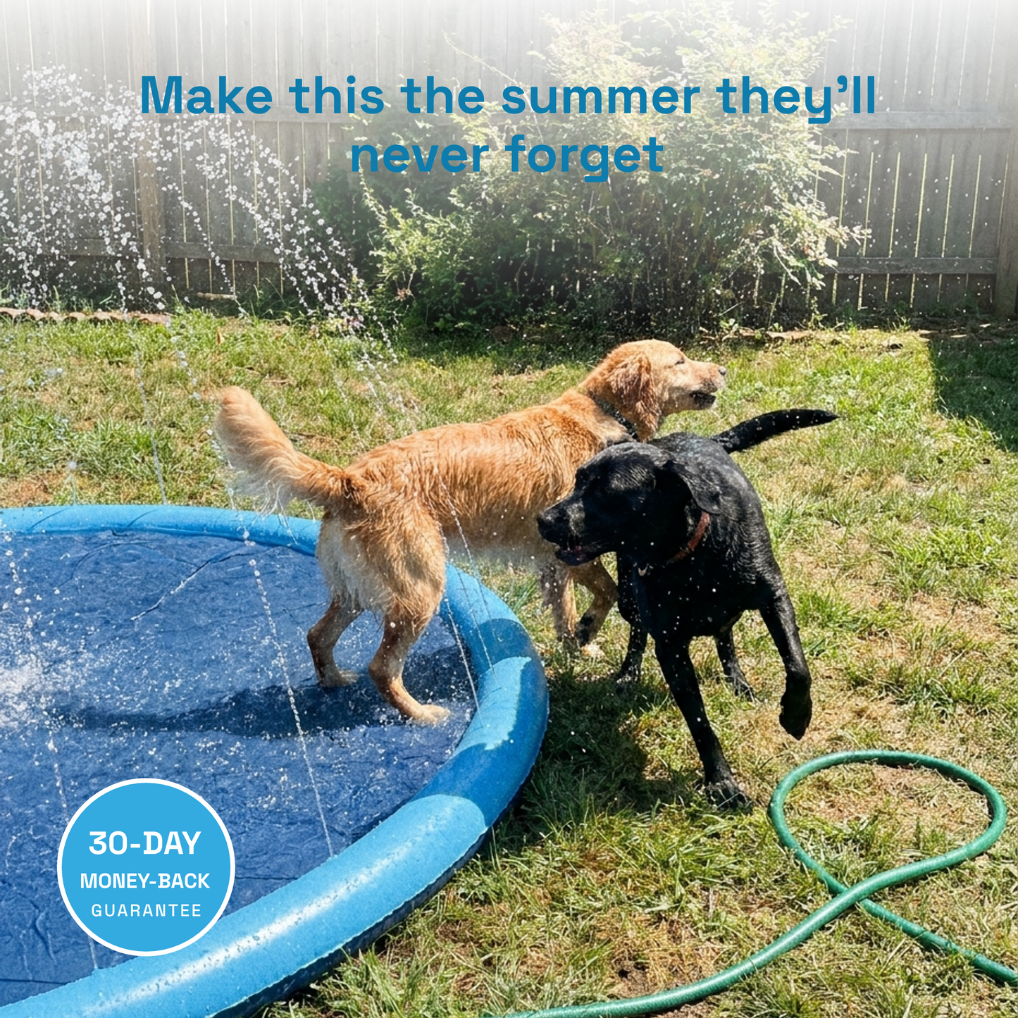 Barkyard Sprinkler Splash Pad